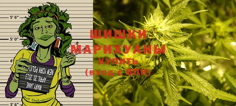 Шишки марихуана THC 21%  что такое наркотик  Лесной 